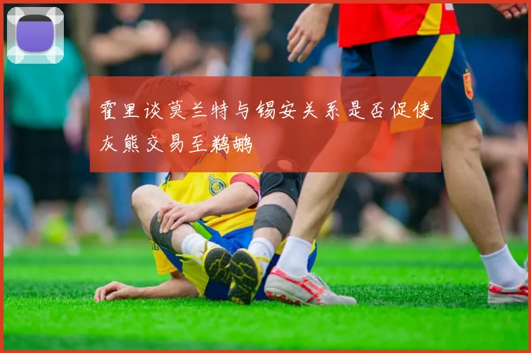 霍里谈莫兰特与锡安关系是否促使灰熊交易至鹈鹕